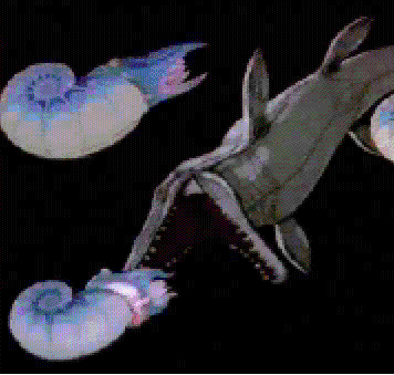 Snap Snap!  Another 50p-worth of business! 