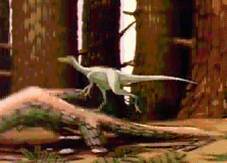 Oh shit there's a gatso-fly-trap ahead!  Screeeeech!